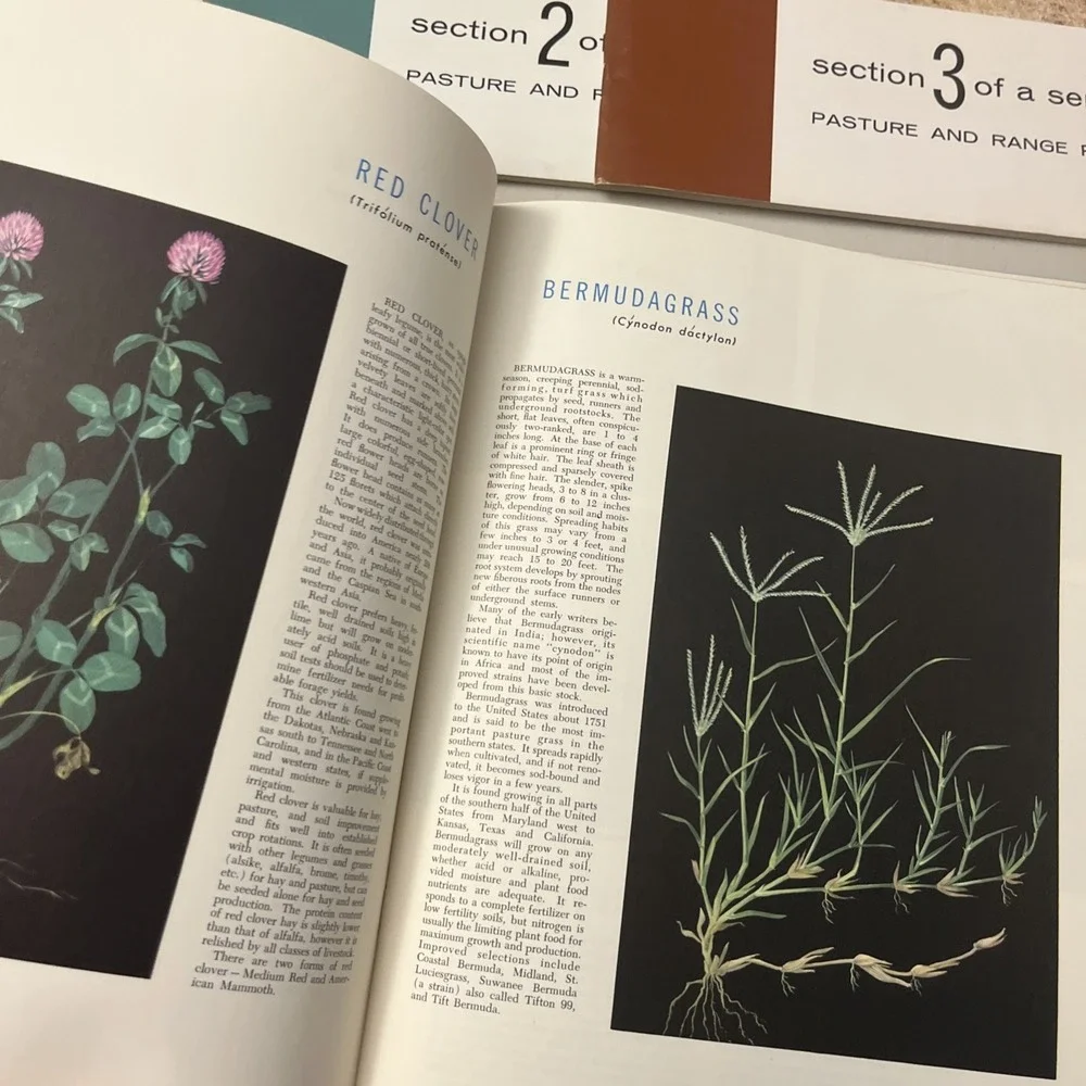 Pasture and Range Plants Series Sections 1-5 1950s Grass, Legumes, Grasslands